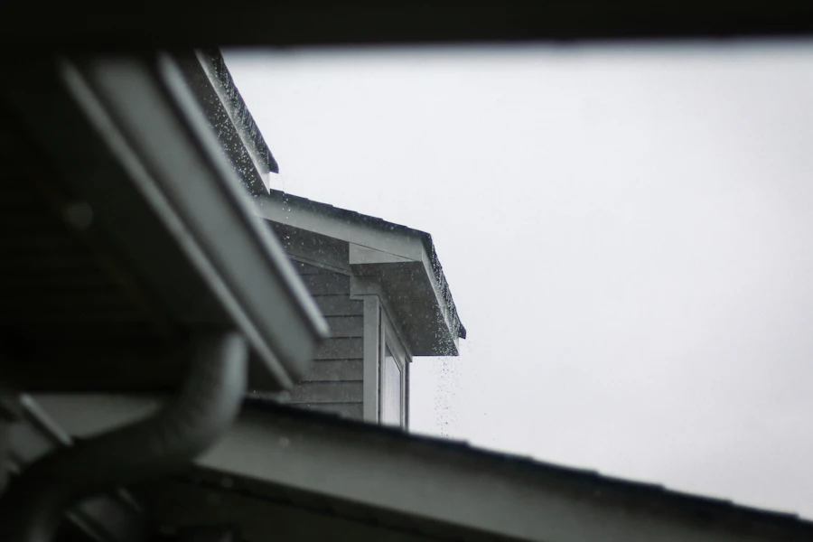 House roofline with gutters under an overcast sky